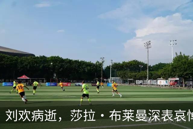 刘欢病逝，莎拉·布莱曼深表哀悼，妻子澄清酒精误传